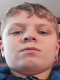 Vlomik