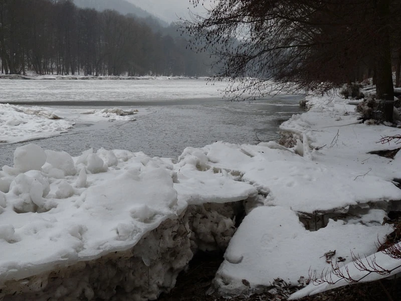 Řeka v proudu času (2010) [Betacam Digital]