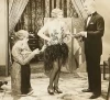 The Broadway Hoofer (1929)
