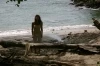 Ztracený ostrov (2009) [Video]