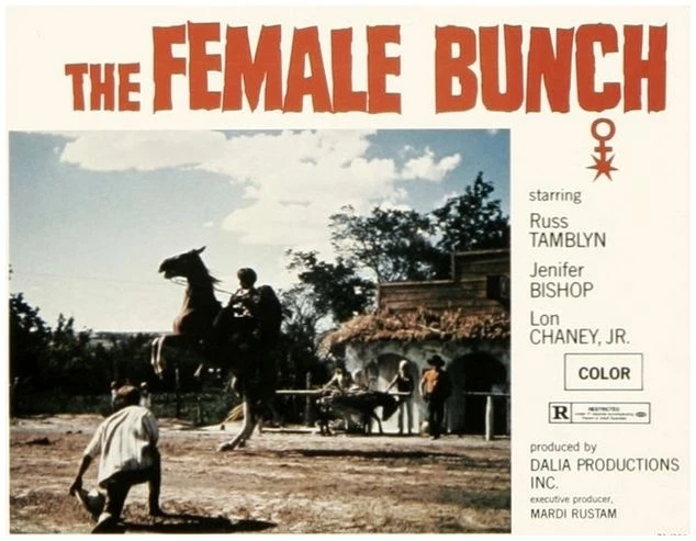 The Female Bunch (1971)