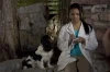 Dr. Dolittle 4 (2008) [Video]