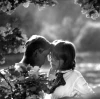 Romance pro křídlovku (1966)