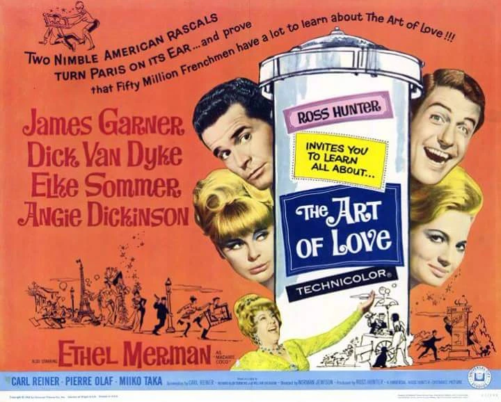 The Art of Love (1965)