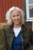 Inga Lindström: Divocí koně (2011) [TV film]