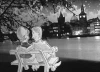 Petřínská rozhledna (1963) [TV film]