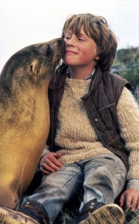 Zlatý tuleň (1983)