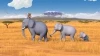 Nejmenší slon na světě (2013) [TV seriál]