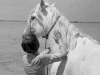 Bílá hříva (1953)