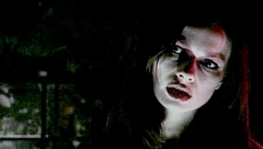 Vampire diary (2007)