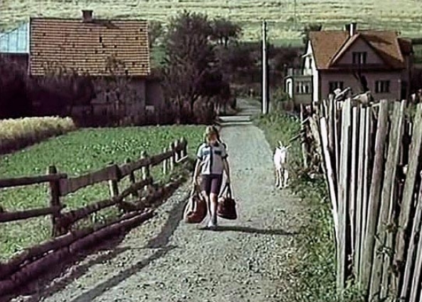 Leto s Katkou (1975) [TV seriál]