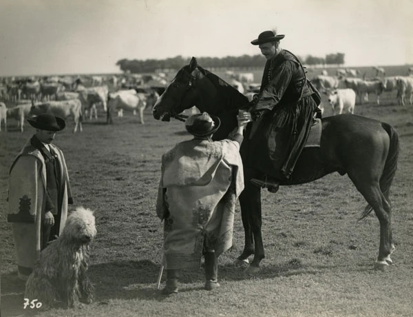 Tiszavirág (1939)