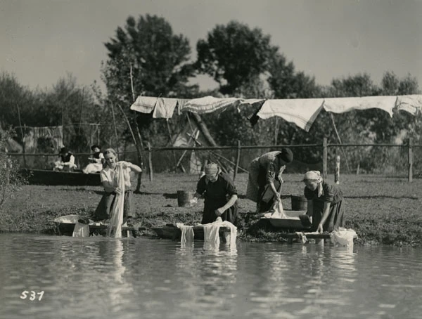 Tiszavirág (1939)