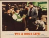 It's a Dog's Life (1955)