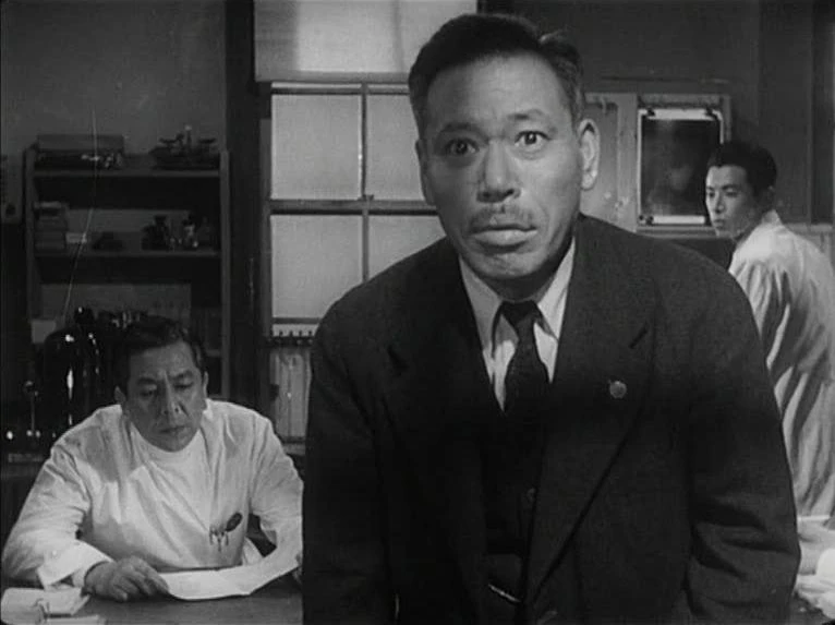 Žít (1952)