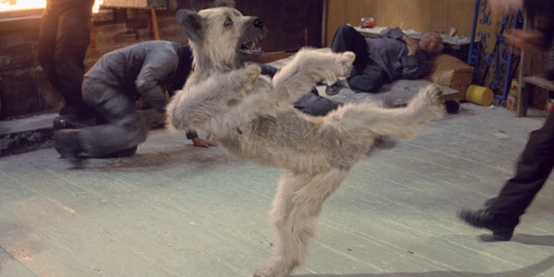 Karate Dog (2004) [TV film]