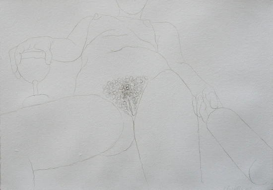 Chlupatice - chloupky z ohanbí, Kateřina 42cm x 59cm, 2008