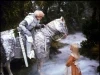 Alenka v říši divů (1985) [TV film]