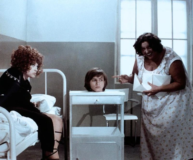 Dívka na koštěti (1971)
