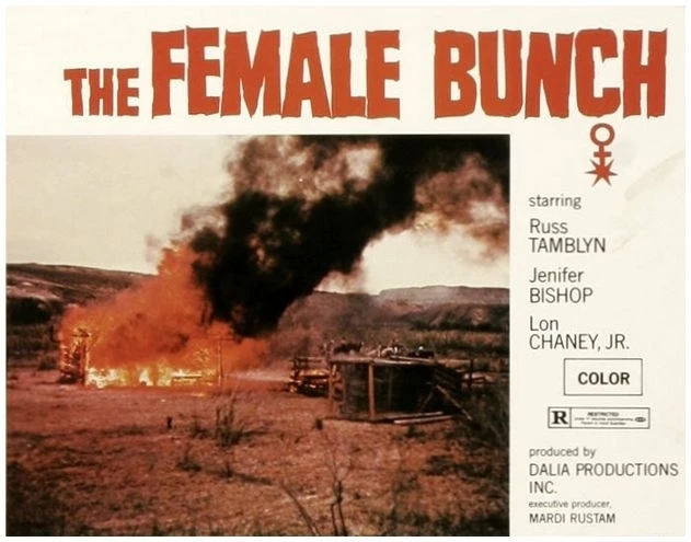 The Female Bunch (1971)