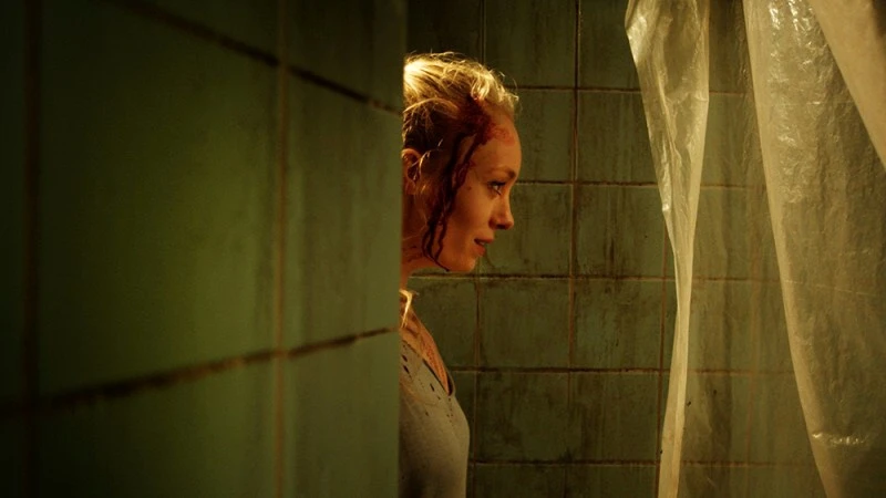 Žena za zdí (2013) [TV film]