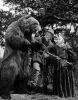 O medvědu Ondřejovi (1959)