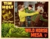 Wild Horse Mesa (1947)