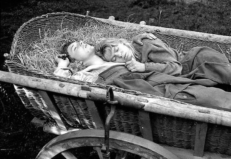 Трагическая история жизни. Мальчик в телеге. Девушка в телеге. Повозка в Вену (1966).