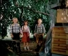 Rodina na větvi (1983) [TV epizoda]