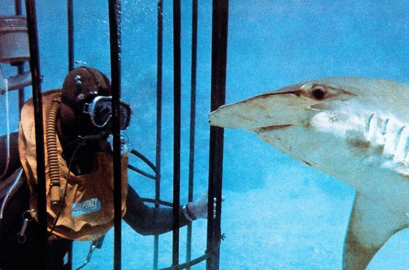Mrtvý potápěč nebere zlato (1974)