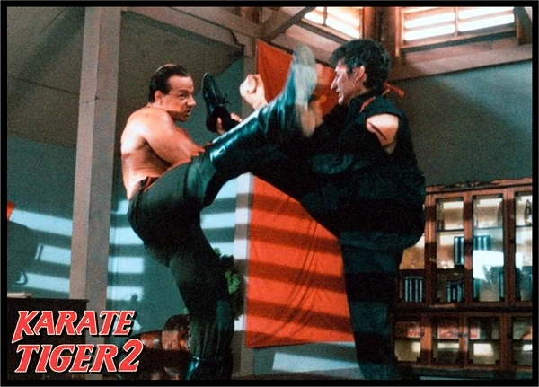 Karate tiger 2: Zuřící blesk (1987)