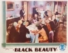 Black Beauty (1933)