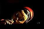 Pinocchiova dobrodružství (1996)