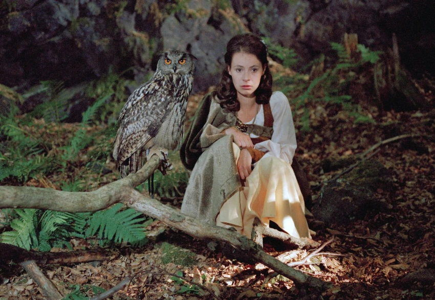 Královny kouzelného lesa (1998) [TV hra]