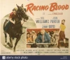 Racing Blood (1954)