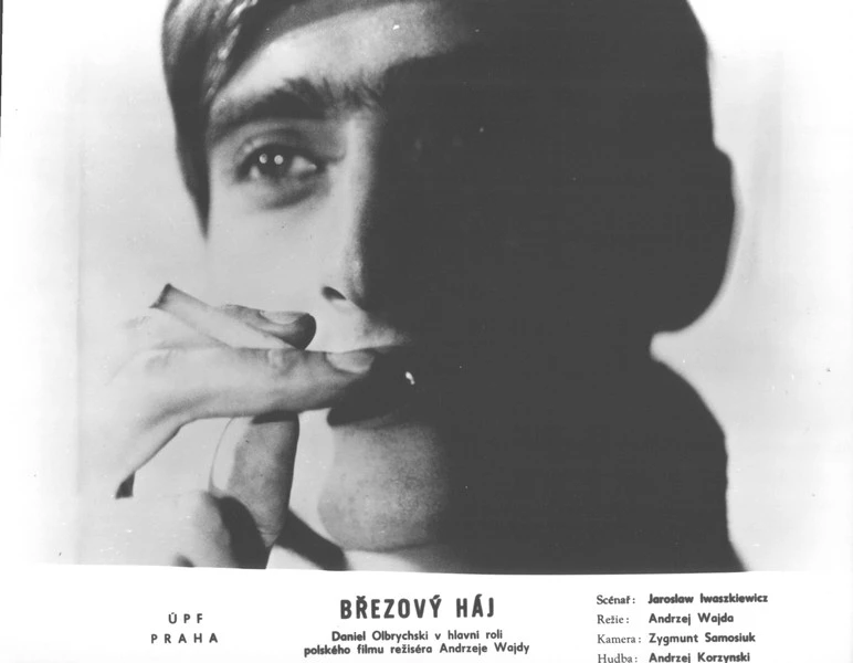 Březový háj (1971)