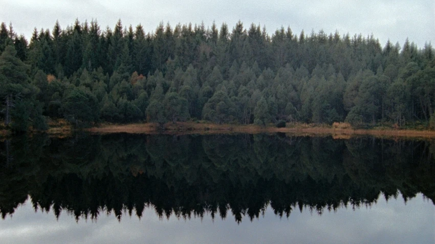 Wood and Water (2021)