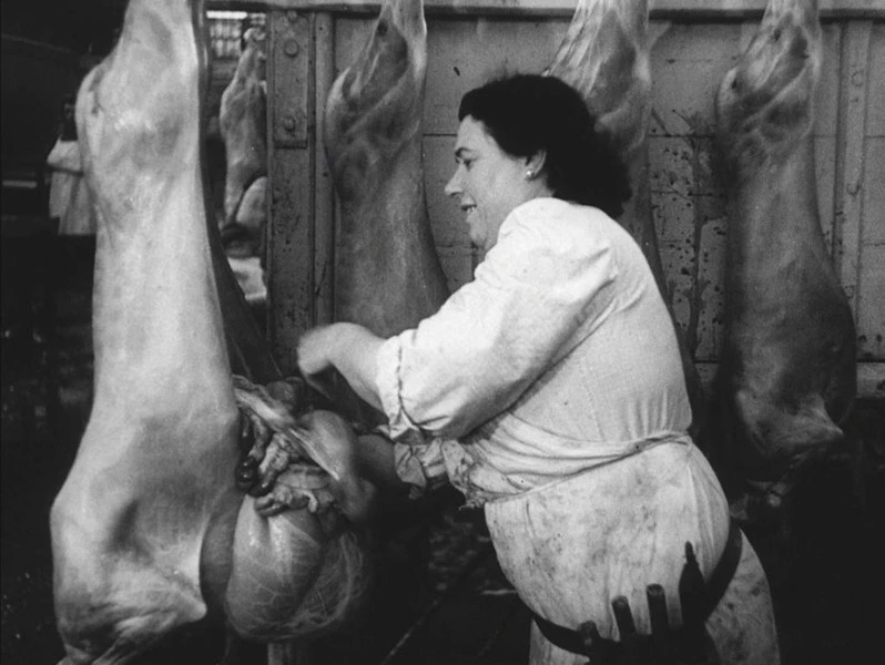 Krev zvířat (1949)