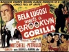 Bela Lugosi Meets a Brooklyn Gorilla (1952)