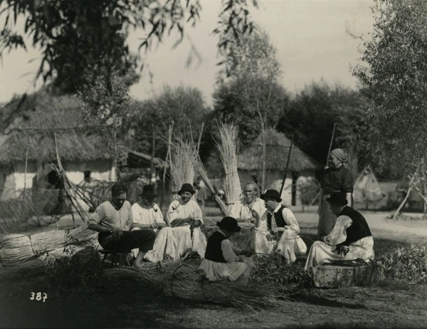 Tiszavirág (1939)