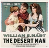 The Desert Man (1917)