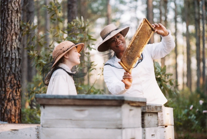 Tajný život včel (2008)