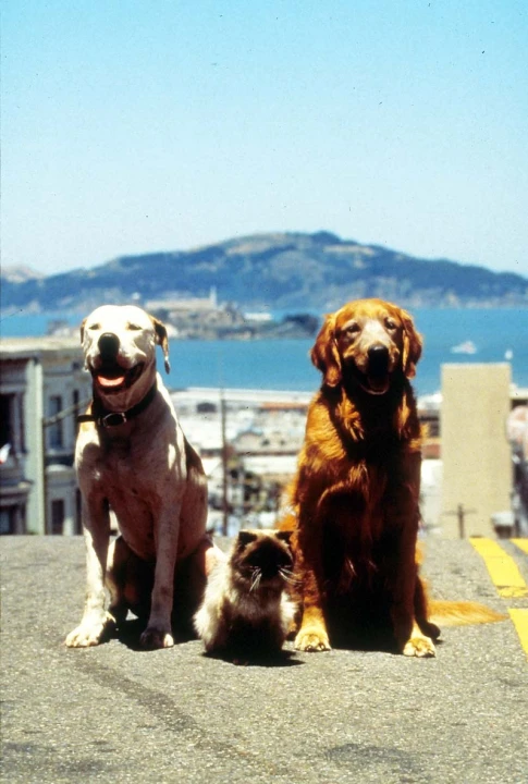 Neuvěřitelná cesta 2 - Ztraceni v San Francisku (1996)