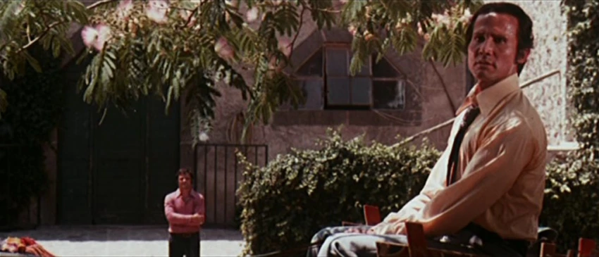 Quelli che contano (1974)