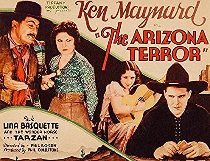 The Arizona Terror (1931)