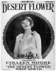 The Desert Flower (1925)
