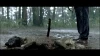 V temném lese (2006)
