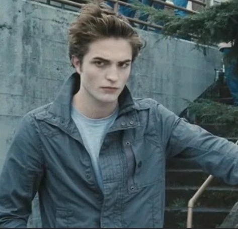 Twilight sága: Stmívání (2008)