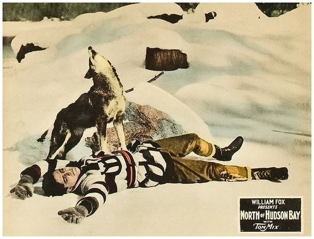 V boji se smečkou vlků (1923)
