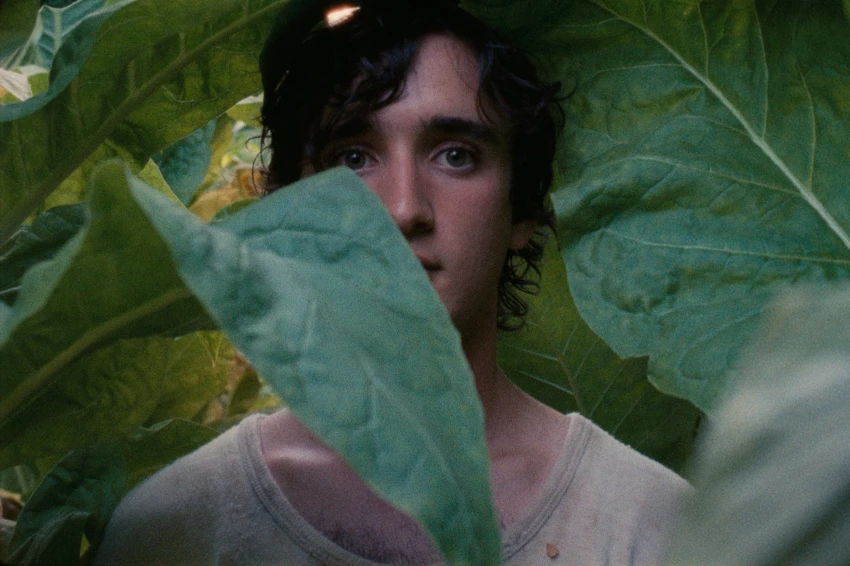 Šťastný Lazzaro (2018)